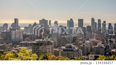 Montreal canada city Skyline in spring Montreal canada city Skyline in spring 134198857