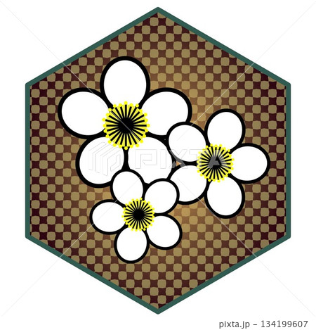 六角背景のついた梅の花のイラスト 134199607