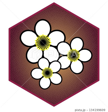 六角背景のついた梅の花のイラスト 六角背景のついた梅の花のイラスト 134199609