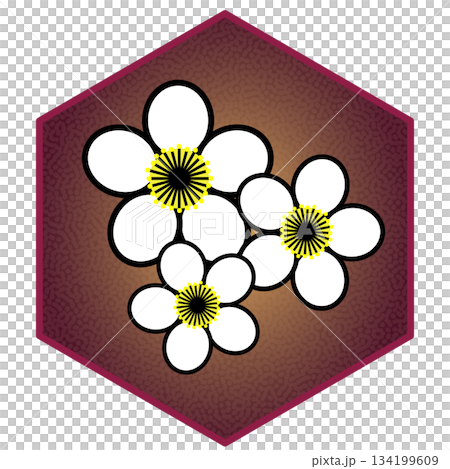 以六角形為背景的梅花插圖 以六角形為背景的梅花插圖 134199609