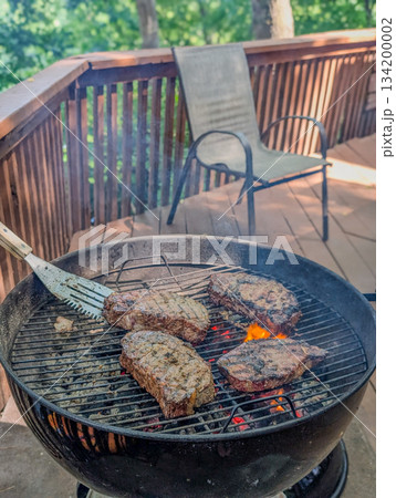 Summer picnic with small charcoal grill and steaks on deck 134200002