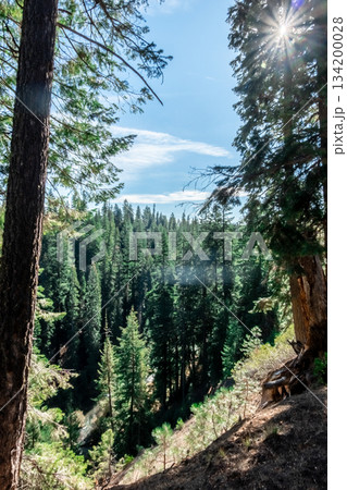 nature scenes around crater lake oregon 134200028