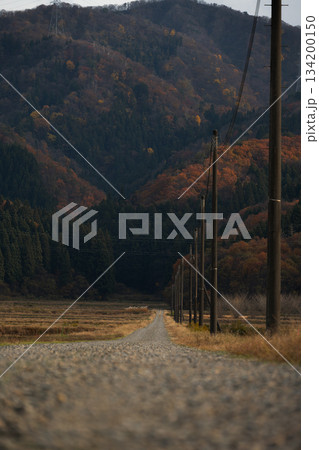 山への道、電柱が導く秋の色彩と田園風景 山への道、電柱が導く秋の色彩と田園風景 134200150