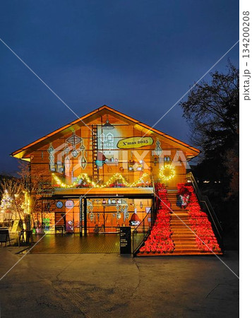 宮沢湖畔のクリスマスイルミネーション 宮沢湖畔のクリスマスイルミネーション 134200208