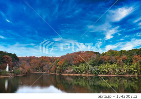 晩秋の宮沢湖 134200212