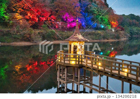 ライトアップはじまったばかりの宮沢湖畔 ライトアップはじまったばかりの宮沢湖畔 134200218