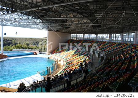 イルカショーの風景、アドベンチャーワールド、和歌山県 134200225