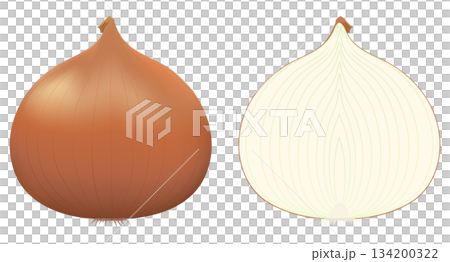 皮の付いた玉ねぎ 半分に切った玉ねぎの断面 皮の付いた玉ねぎ 半分に切った玉ねぎの断面 134200322