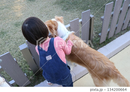 アドベンチャーワールド、和歌山県、犬の触れ合い アドベンチャーワールド、和歌山県、犬の触れ合い 134200664