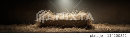 Wooden manger with straw under soft spot light. Empty wooden manger with straw receiving warm light, symbolizing birth and new beginnings 134200822
