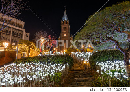 ソウル明洞の観光名所　明洞大聖堂のクリスマスイルミネーション 134200978