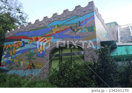 伊丹市昆虫館、兵庫県 134201170