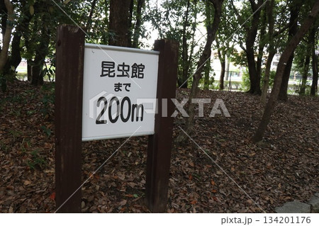 伊丹市昆虫館、兵庫県 伊丹市昆虫館、兵庫県 134201176