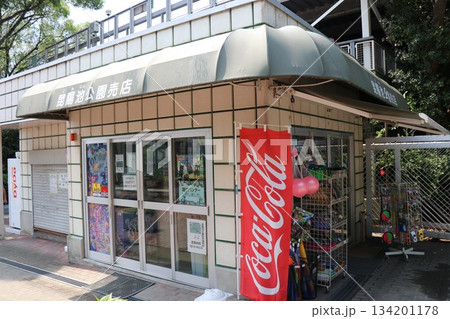 伊丹市昆虫館、兵庫県 134201178