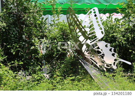 伊丹市昆虫館、兵庫県 伊丹市昆虫館、兵庫県 134201180