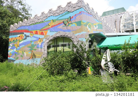 伊丹市昆虫館、兵庫県 134201181