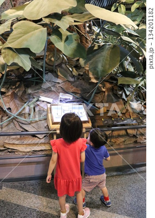 伊丹市昆虫館、兵庫県 伊丹市昆虫館、兵庫県 134201182