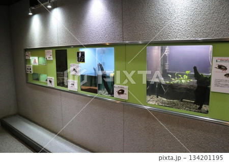 伊丹市昆虫館、兵庫県 伊丹市昆虫館、兵庫県 134201195