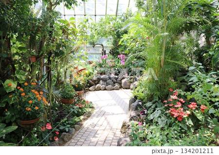 伊丹市昆虫館、兵庫県 伊丹市昆虫館、兵庫県 134201211