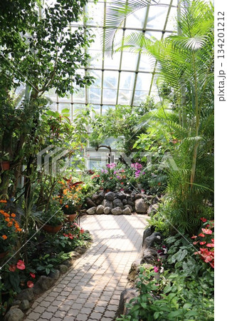 伊丹市昆虫館、兵庫県 伊丹市昆虫館、兵庫県 134201212