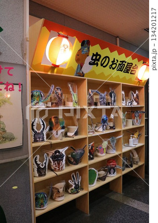 伊丹市昆虫館、兵庫県 134201217