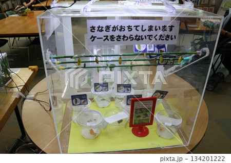 伊丹市昆虫館、兵庫県 134201222