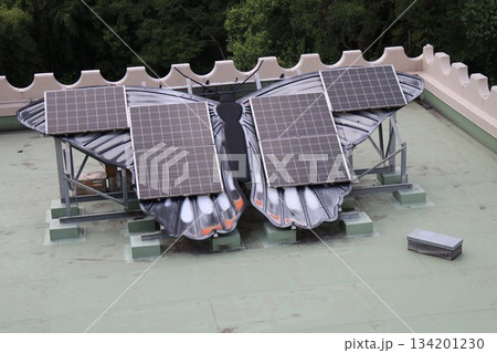 伊丹市昆虫館、兵庫県 134201230