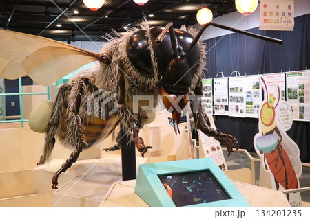 伊丹市昆虫館、兵庫県 伊丹市昆虫館、兵庫県 134201235