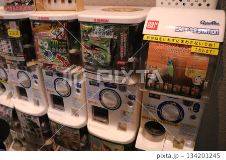 伊丹市昆虫館、兵庫県 134201245