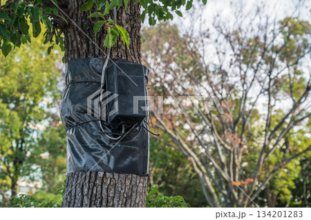 イルミネーションの電力用仮設ボックス 134201283