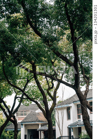 Traditional Chinese houses street with trees in Suzhou, China Traditional Chinese houses street with trees in Suzhou, China 134201301