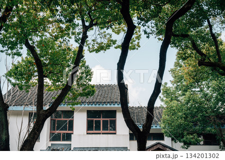 Traditional Chinese houses street with trees in Suzhou, China Traditional Chinese houses street with trees in Suzhou, China 134201302