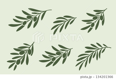 Olives branches set with green leaves and olives Olives branches set with green leaves and olives 134201366