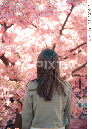 桜のポートレート 134201442