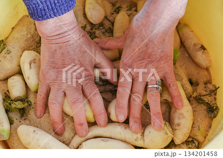 手で揉む 手で揉む 134201458