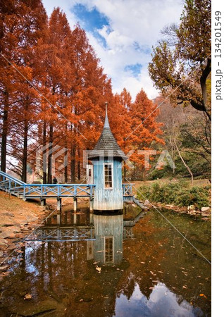 青い小屋とメタセコイヤの紅葉 134201549