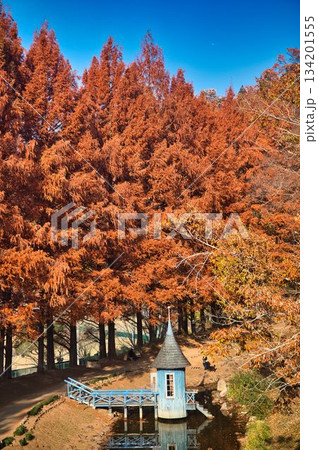 丘からの公園のながめ 134201555