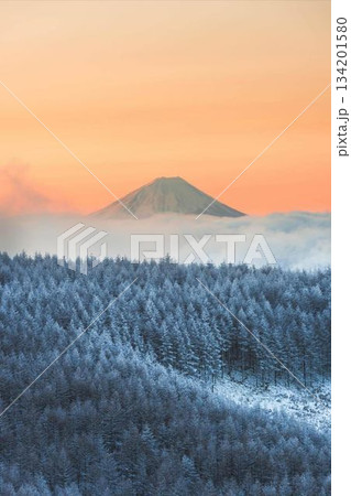 パノラマ台から見る朝焼けの羊蹄山 134201580