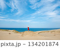 鳥取砂丘にいる女性 134201874
