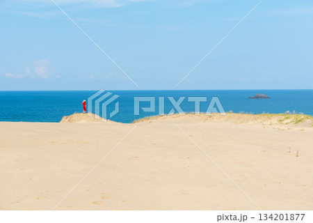 鳥取砂丘の砂浜 134201877