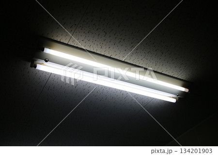 工場天井の蛍光灯 134201903