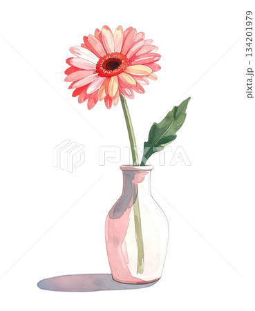花瓶に生けられたガーベラ 水彩イラスト 花瓶に生けられたガーベラ 水彩イラスト 134201979