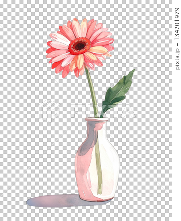 花瓶に生けられたガーベラ 水彩イラスト 花瓶に生けられたガーベラ 水彩イラスト 134201979