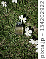 Original organic photo transparent perfume bottle flatlay on green grass white floral background Original organic photo transparent perfume bottle flatlay on green grass white floral background 134202922
