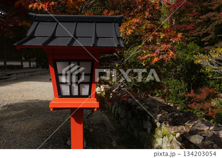 紅葉と朱色の灯籠 134203054