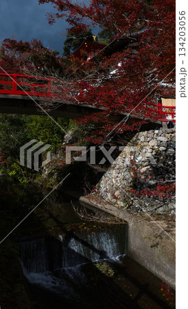 小さい川に掛かる赤い橋と紅葉 小さい川に掛かる赤い橋と紅葉 134203056