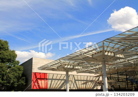 大阪市立自然史博物館 大阪市立自然史博物館 134203209