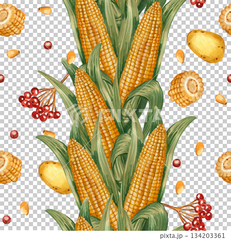 Seamless watercolor pattern on the theme of Thanksgiving and autumn harvest. Ripe corn, potatoes, viburnum berries. All objects are hand-painted in watercolor. For kitchen textiles, printing on paper. Seamless watercolor pattern on the theme of Thanksgiving and autumn harvest. Ripe corn, potatoes, viburnum berries. All objects are hand-painted in watercolor. For kitchen textiles, printing on paper. 134203361
