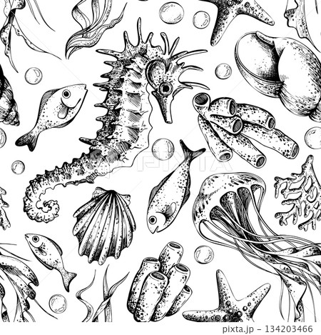 Seamless underwater pattern with line art seahorse, jellyfish, and various marine life. Hand drawn ocean animal illustration for fabric. Outline graphic illustration 134203466
