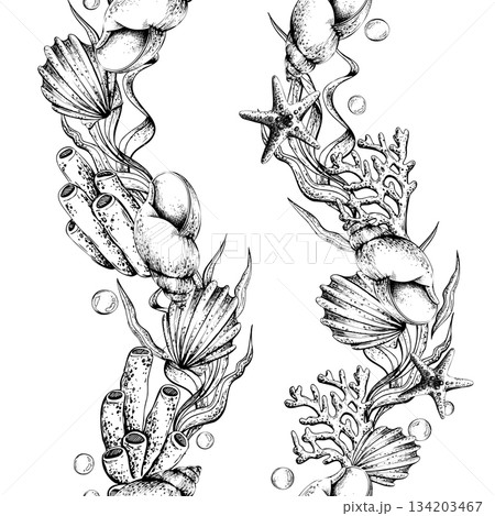 Black and white seamless pattern drawing of shell, coral, seaweed, and starfish. Marine life line art illustration for textile, wallpaper, and fabric. Vertical borders outline graphic Black and white seamless pattern drawing of shell, coral, seaweed, and starfish. Marine life line art illustration for textile, wallpaper, and fabric. Vertical borders outline graphic 134203467